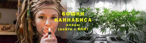 дурь Верея