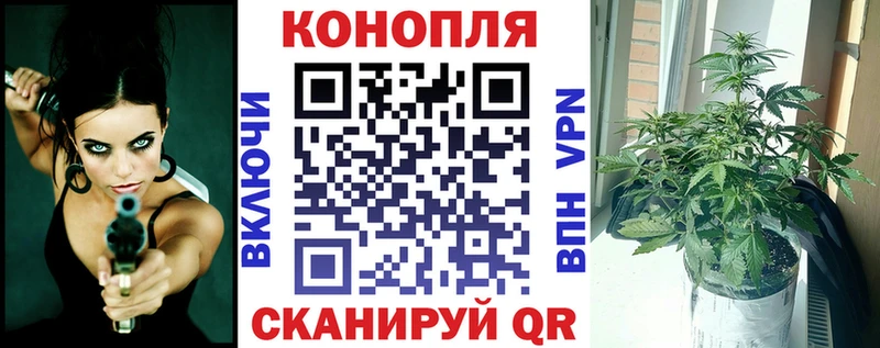 Бошки Шишки гибрид  как найти закладки  даркнет как зайти  Печора  omg tor 